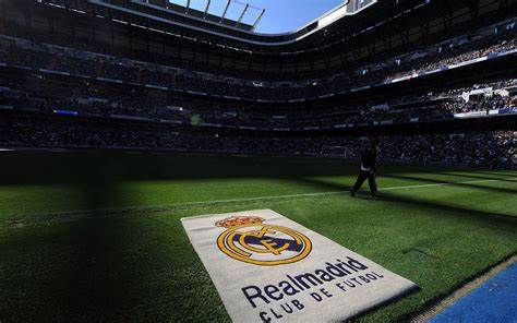 定Wei